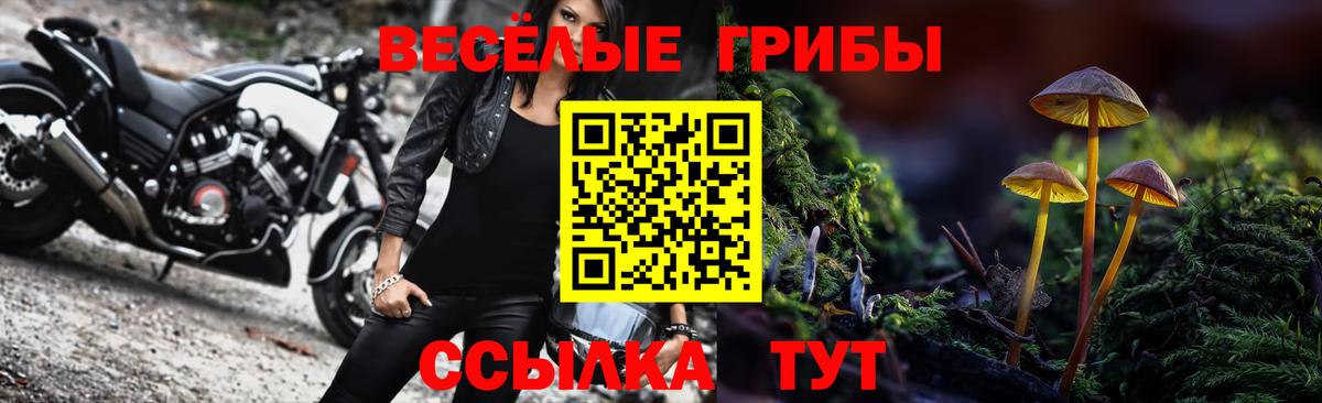 Галлюциногенные грибы ЛСД  Галлюциногенные грибы прущие грибы  Вход с VPN  Гудермес 