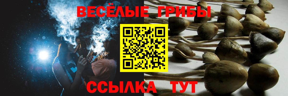 Псилоцибиновые грибы GOLDEN TEACHER Гудермес